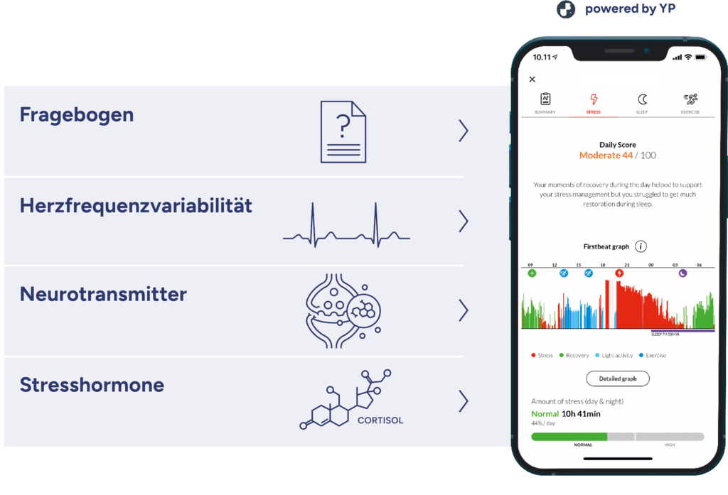 intergrativer stress test