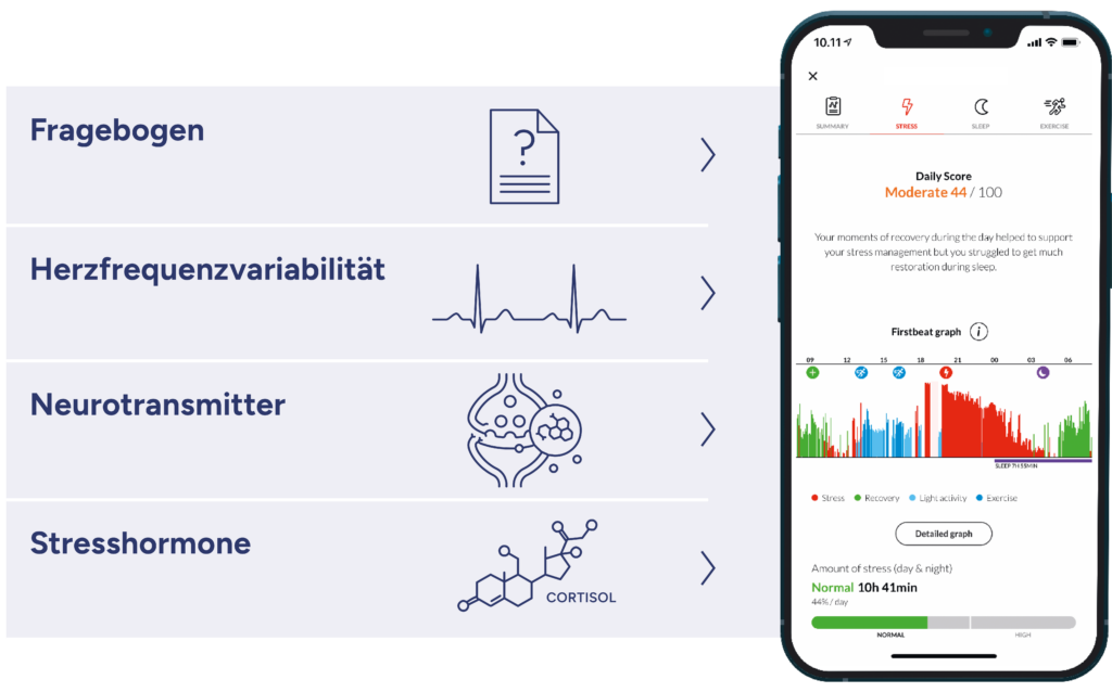 intergrativer stress test